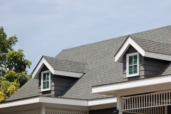 Professional Asphalt Roof Replacement