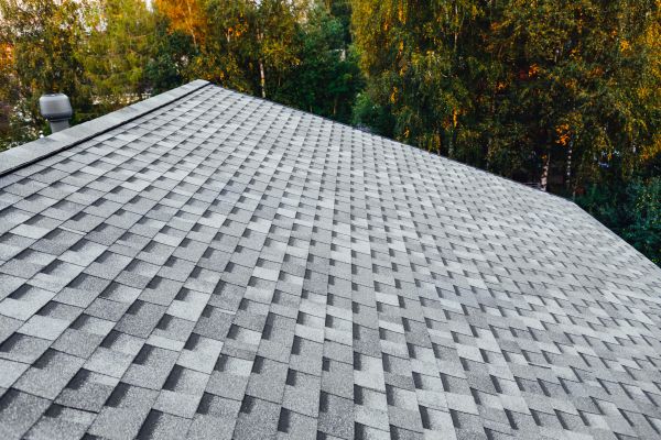 Professional Residential Roof Replacement